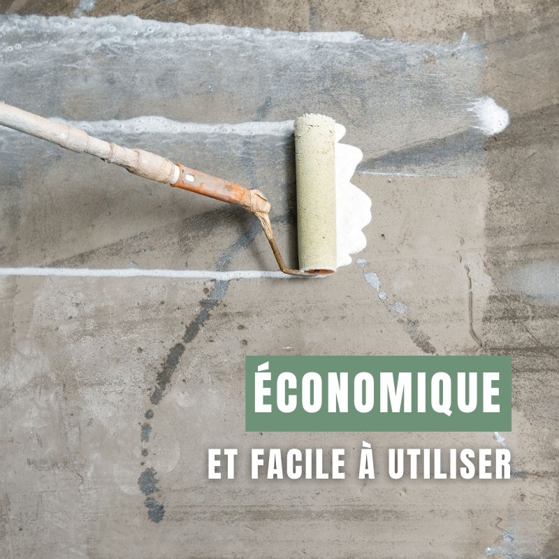 Vernis extérieur économique et facile à utiliser