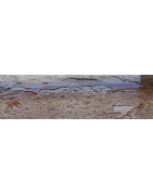 Exterior Varnish