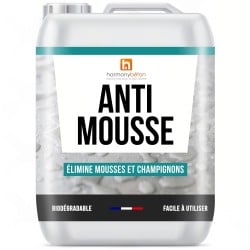Anti-Mousse Terrasse & Béton