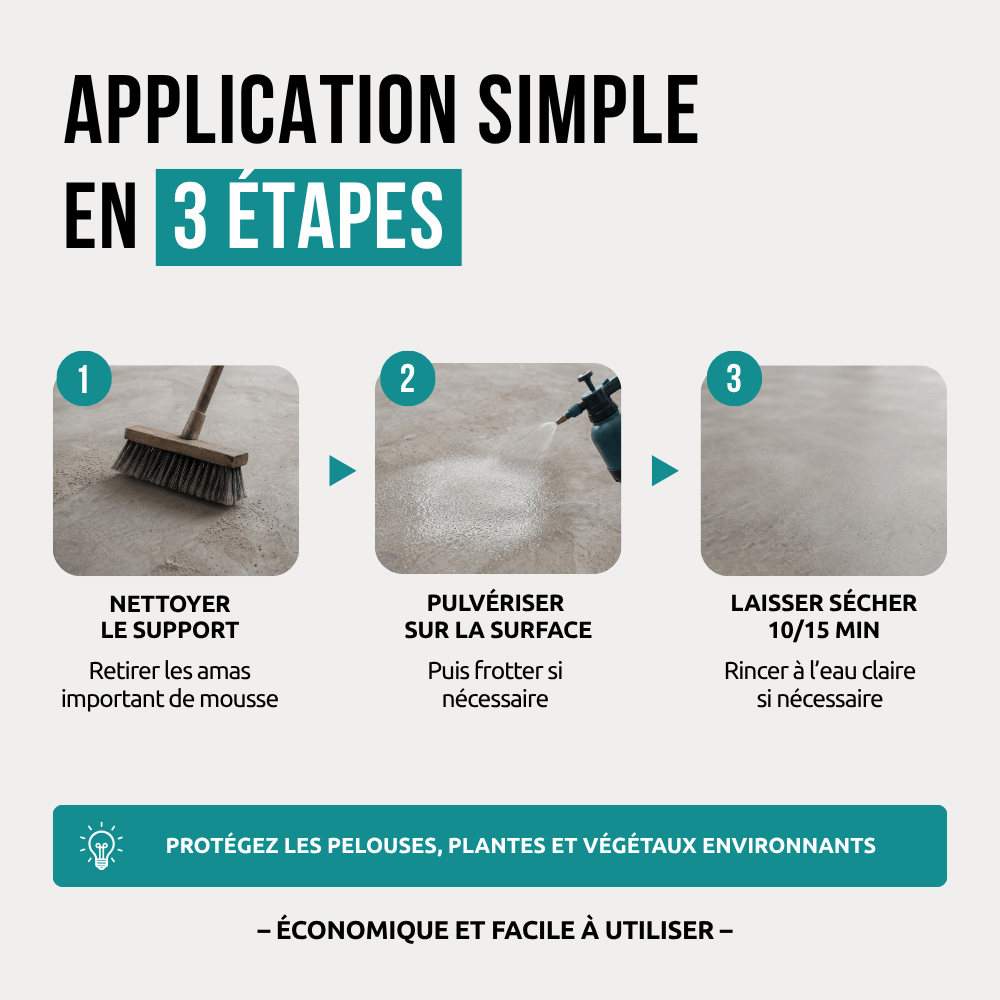 Étapes d'application - Anti-Mousse Terrasse & Béton