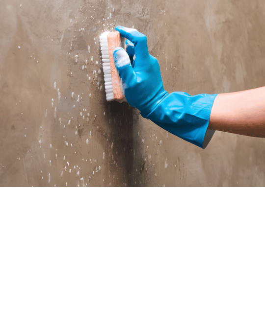 Entretien béton ciré et décapant béton